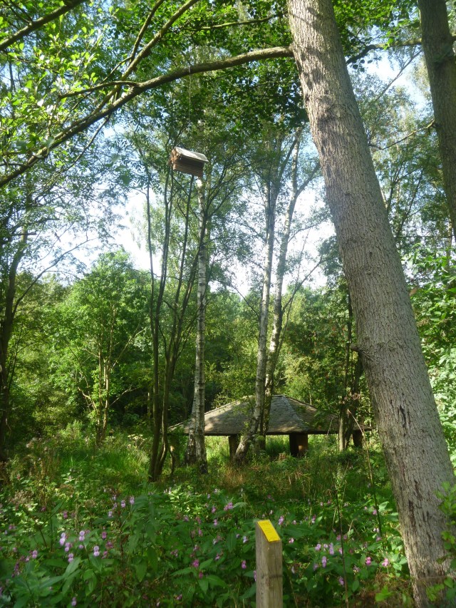 Bee Book and Boathouse