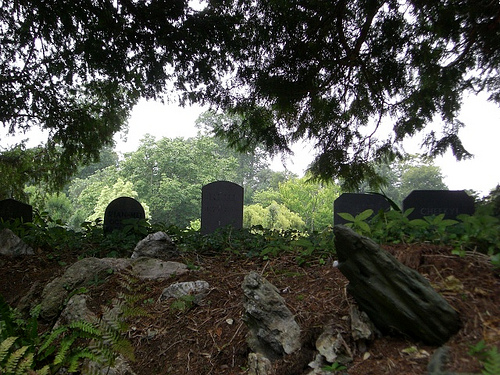 Greenway doggie graves