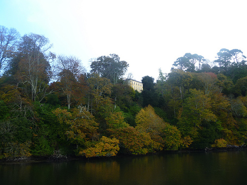 Greenway from the river