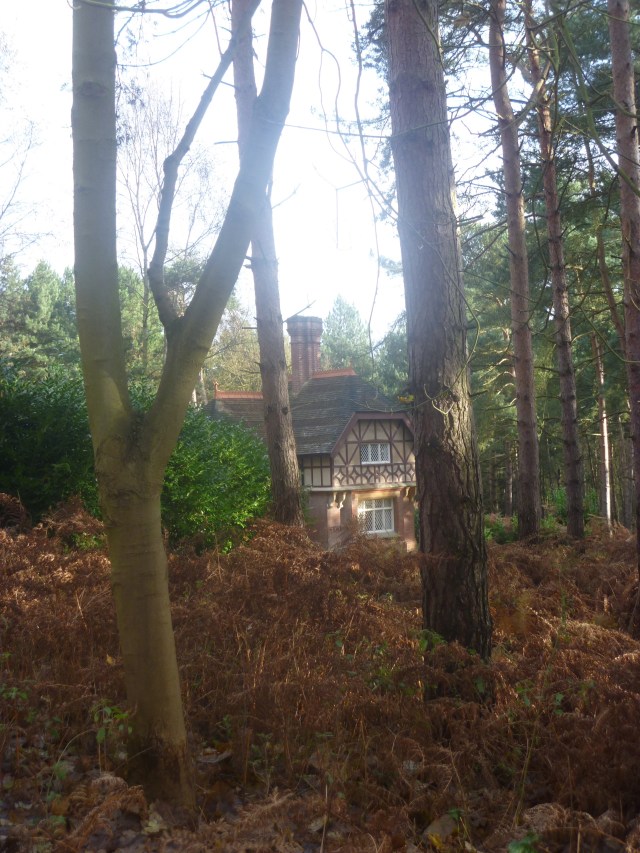 Little Cottage in a Wood