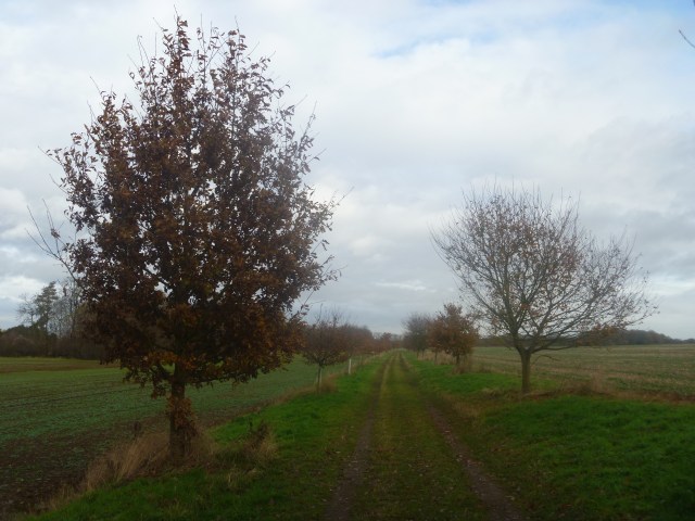 Field path Warden Warren