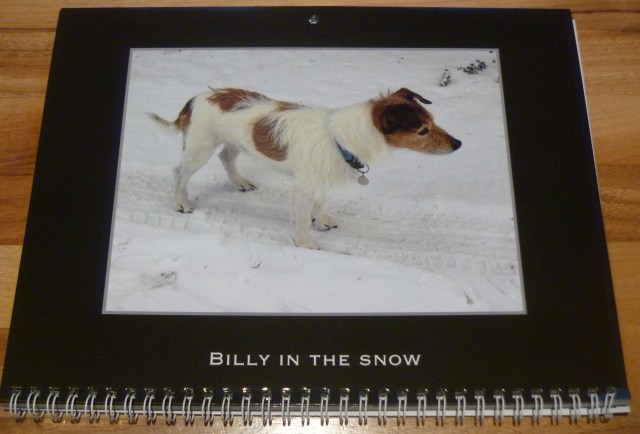 Billy in snow