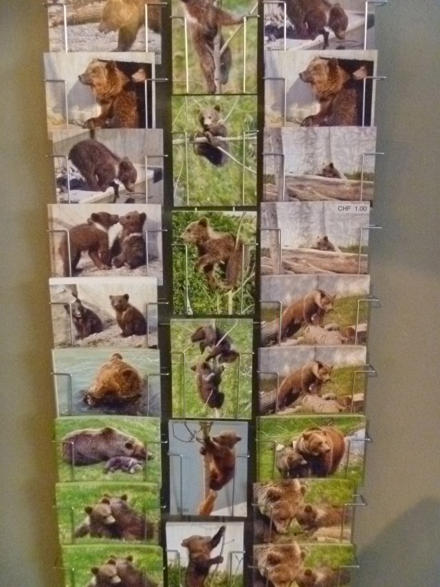 Bear postcards