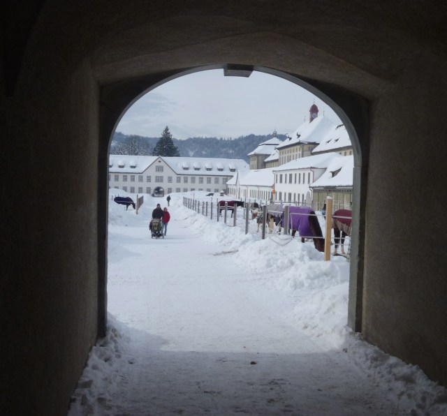 Entering the precincts