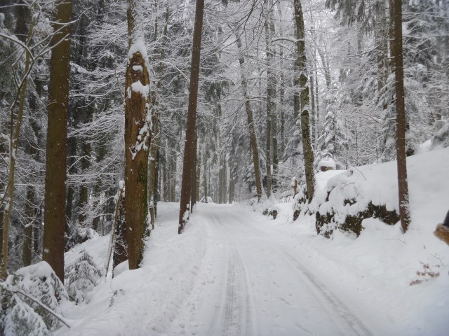 Track to Bürgenstock