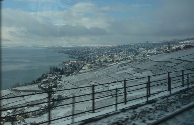 Vineyards by Lake Geneva