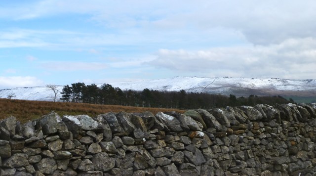 Cracoe Fell from Moor Lane