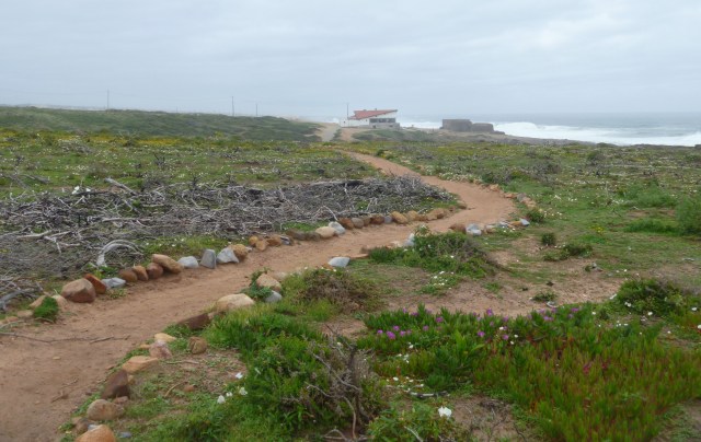 Clearly marked coastal path