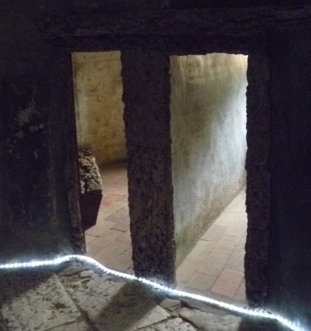 Tiny doorways to cells