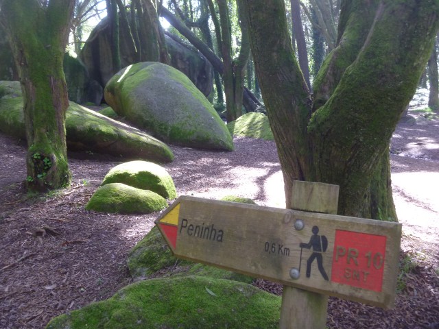 Yet more climbing to do!