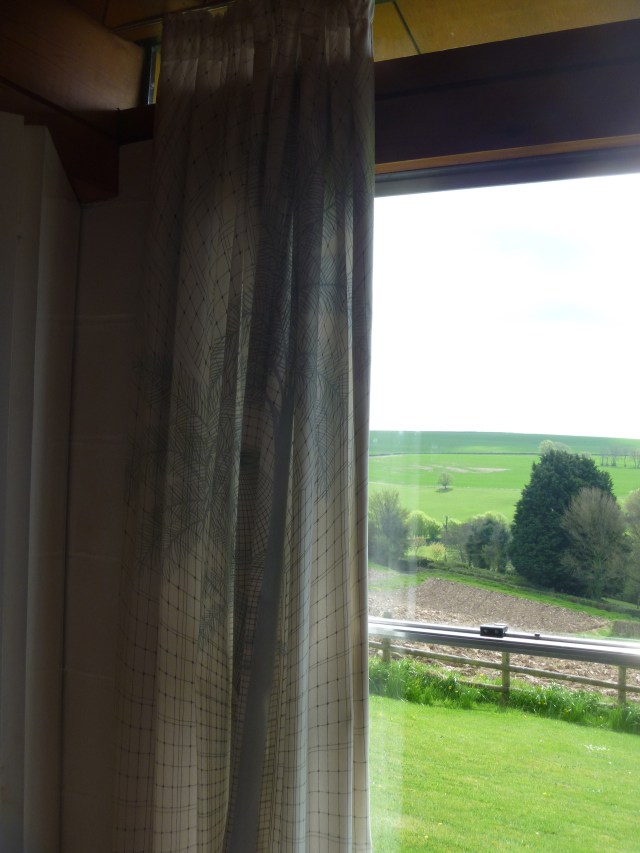 Anderton House Curtain fabric 'Palm Trees' by Liberty