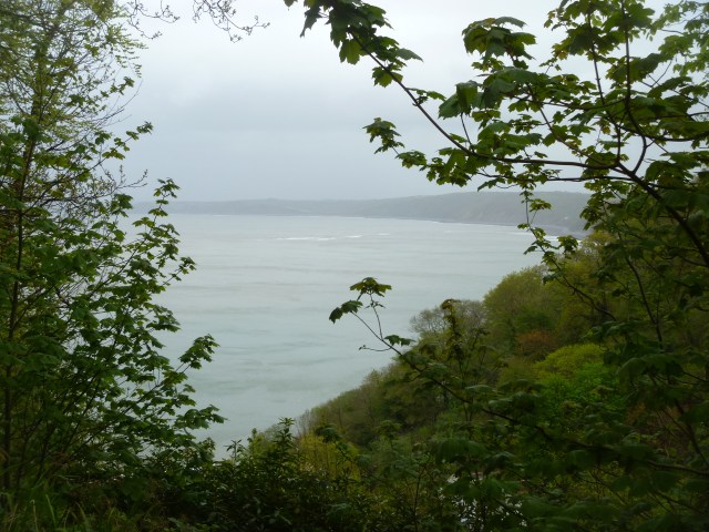 Bay from Hobby drive