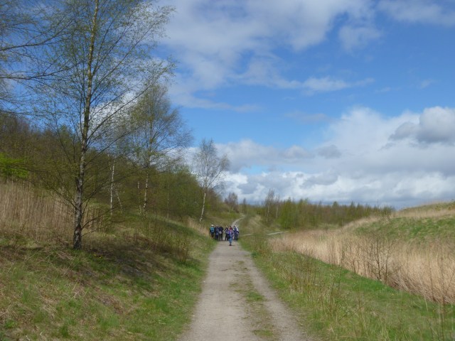 The Stockley Trail