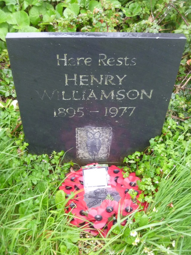Williamson grave