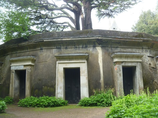 Cedar of Lebanon Circle