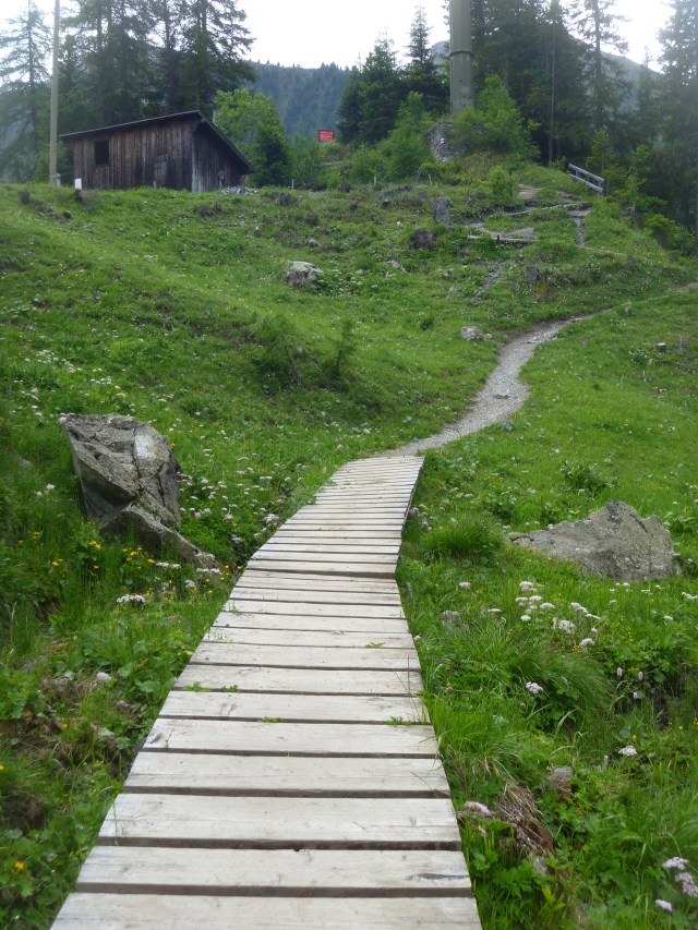 Don't worry about getting muddy!