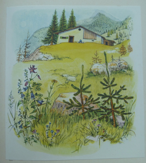 Heidi House illustration