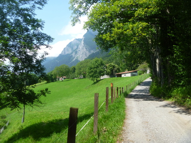 This way to Heidi House