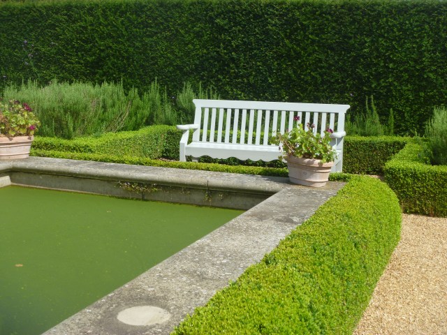 Corner of pool with hedging