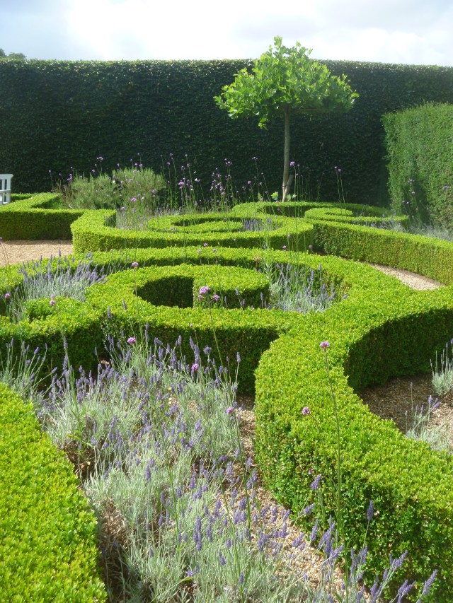 Lavender knot garden