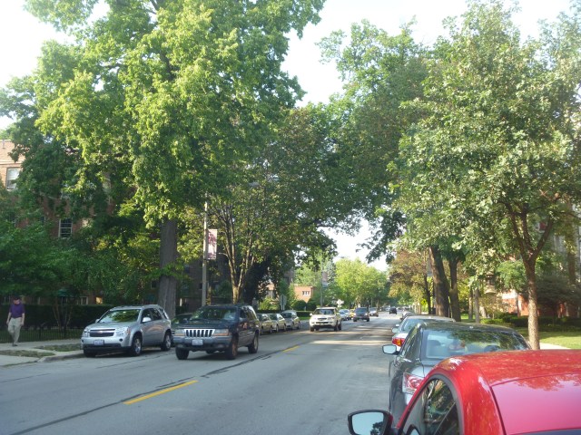 North Oak Park Ave