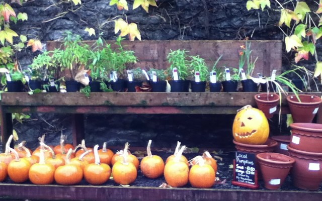 At Low Sizergh Farm Shop