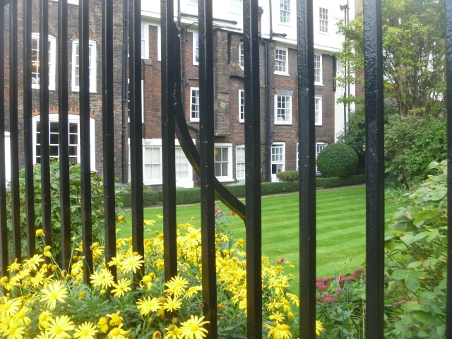 LI looking back at herbs