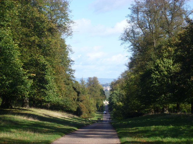 Ripon Cathedral in the distance