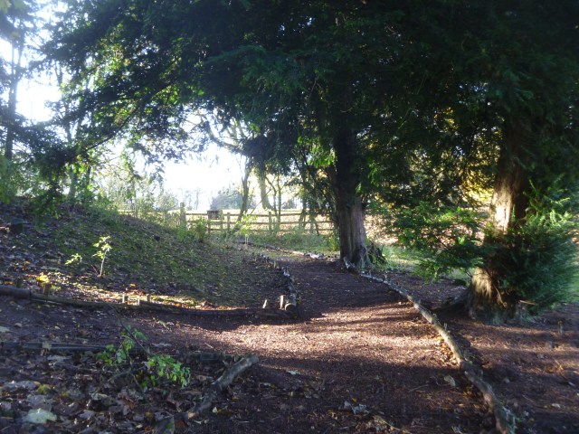 BCTV path through shrubbery