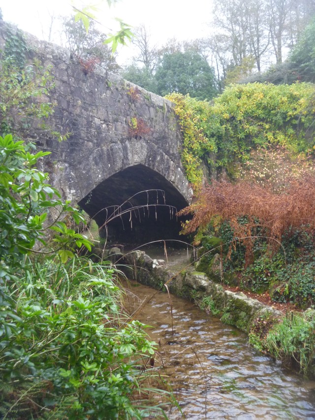 Bridge and stream