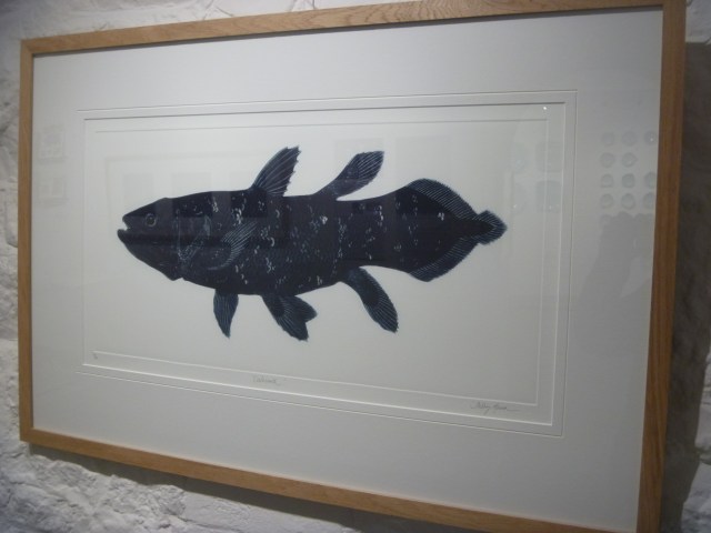 Coelacanth