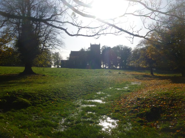 Fish pond and church