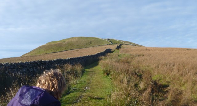 Lady Anne's High Way