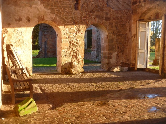 Sunlight after the rain