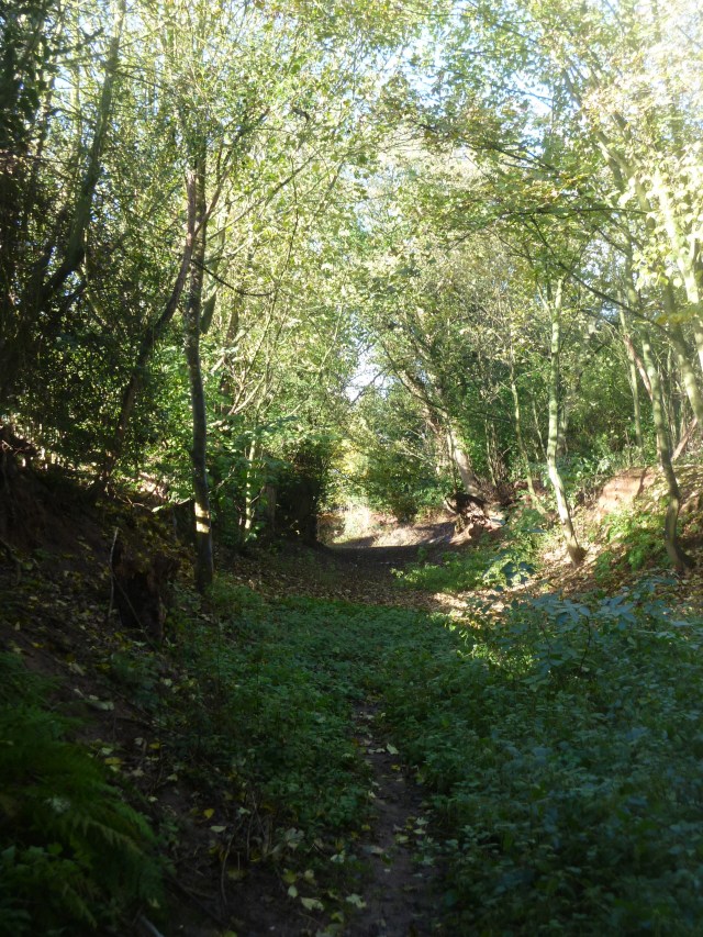 The Holloway