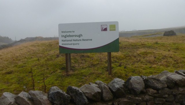 Ingleborough NNR