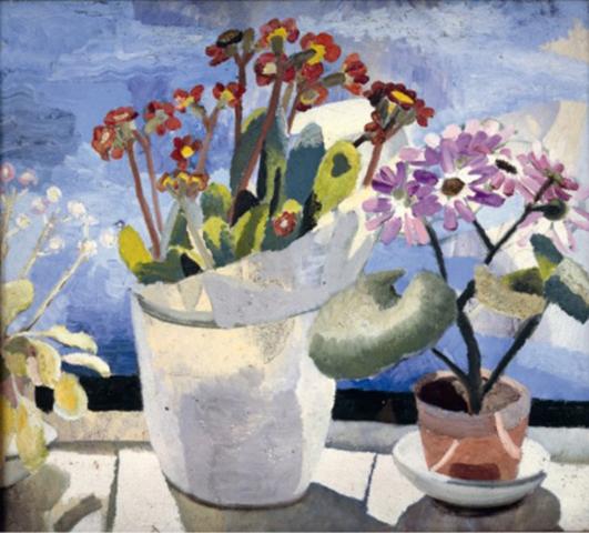 Polyanthus and Cineraria