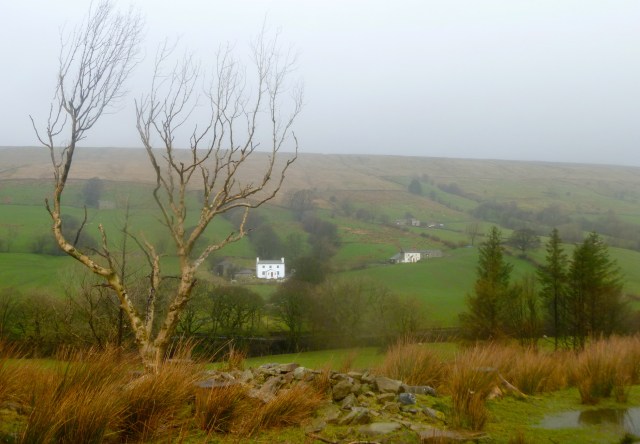 View from lunch spot