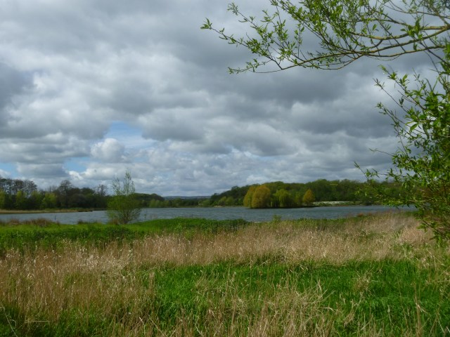 Arriving at lake walk