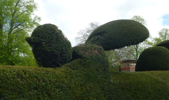 Kiplin topiary