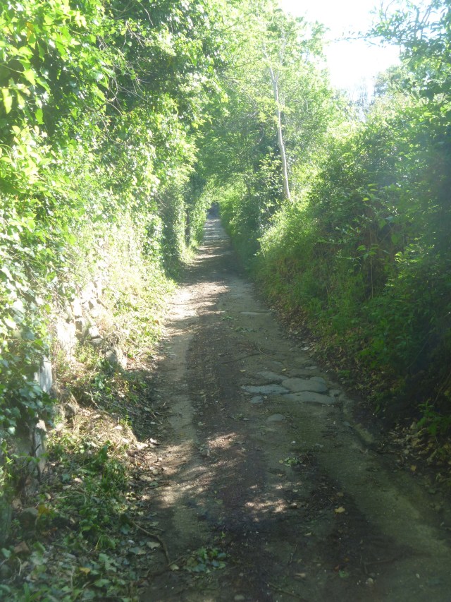 Roman Road