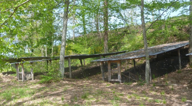 Some of 9 Etruscan tombs