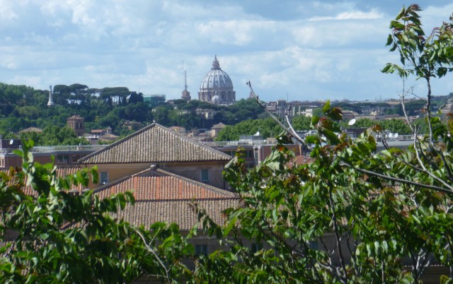Vatican View
