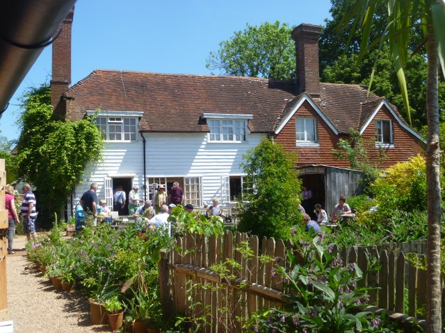 GD shop and cafe garden