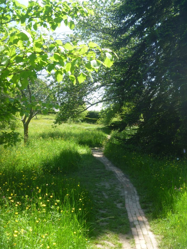 Meadow path