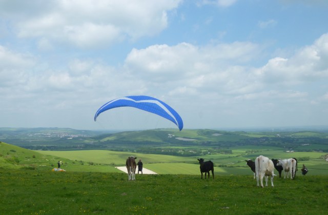 On South Downs