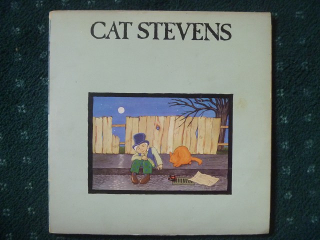 Teaser and the Firecat