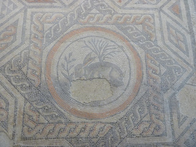 Hare mosaic