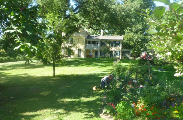 Flower Garden and Home