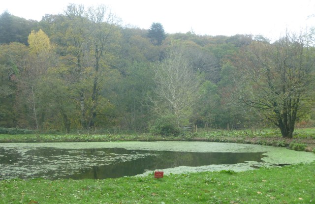 Former swimming pool